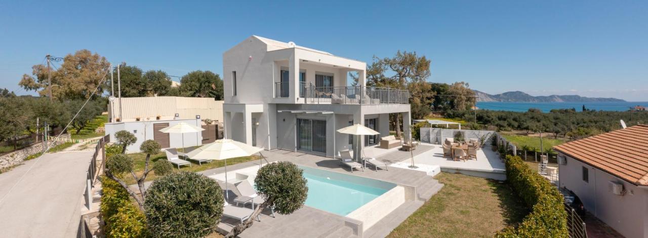 Villa Nick Art Lithakia  Bagian luar foto